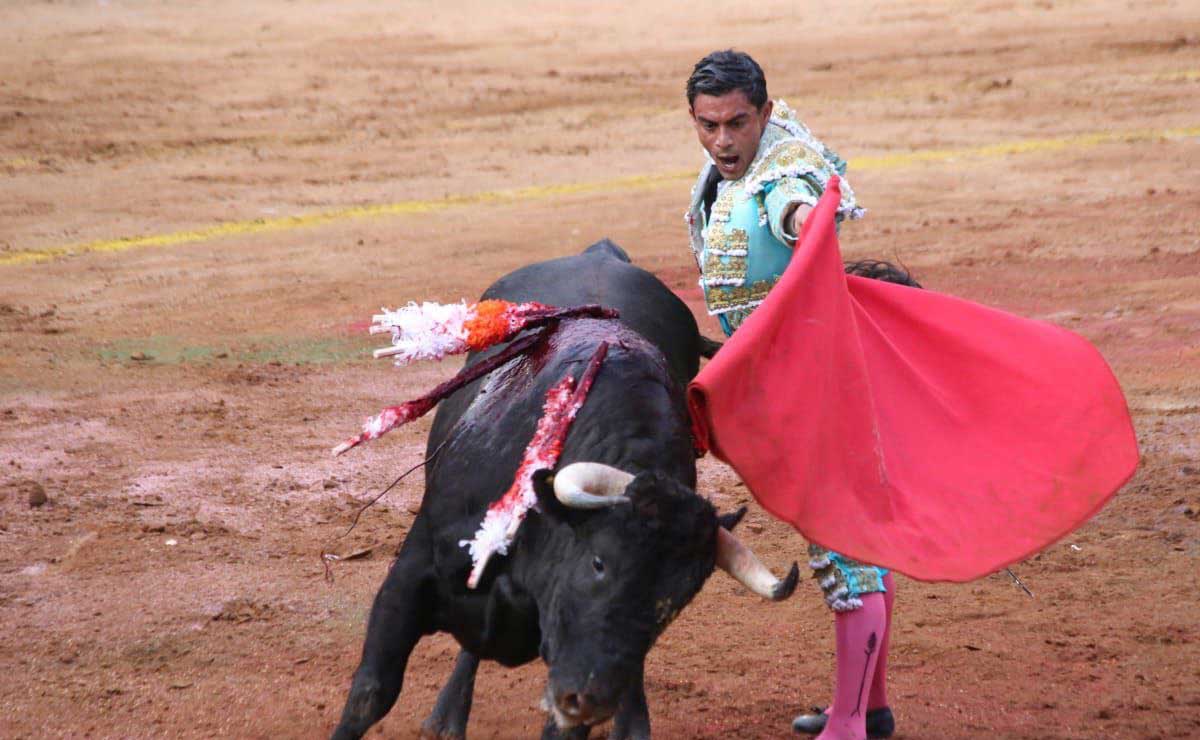 ¿Se prohibirán las corridas de toros en todo el estado?