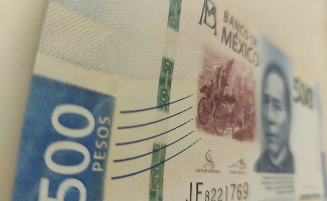 Los billetes de 200, 500 y 1000 pesos están fabricados en papel algodón. Foto: Demian Magallán