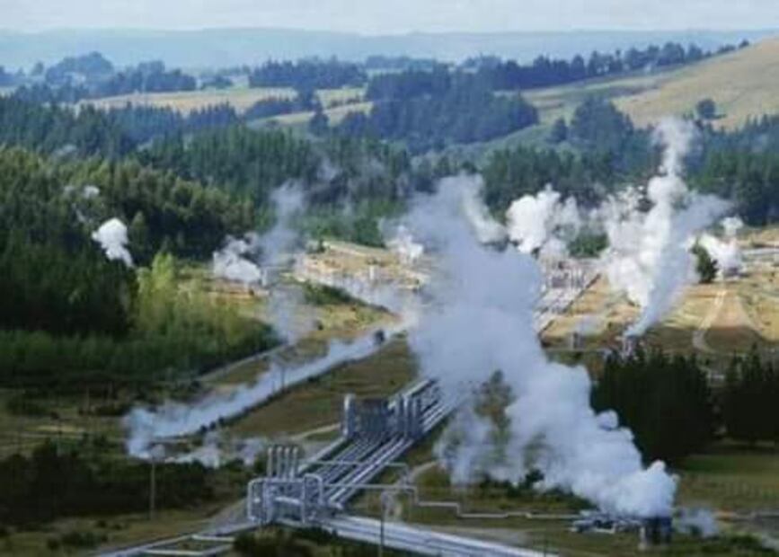 Foto: Nichols d'Orleans