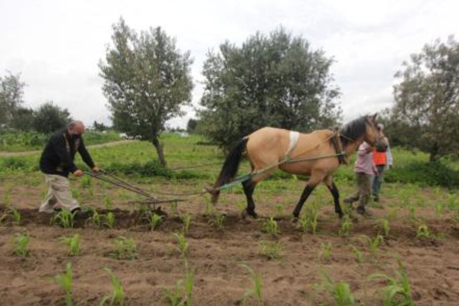 ¿Qué significa "San Juan cuaja y Santiago raja" para los poblanos?