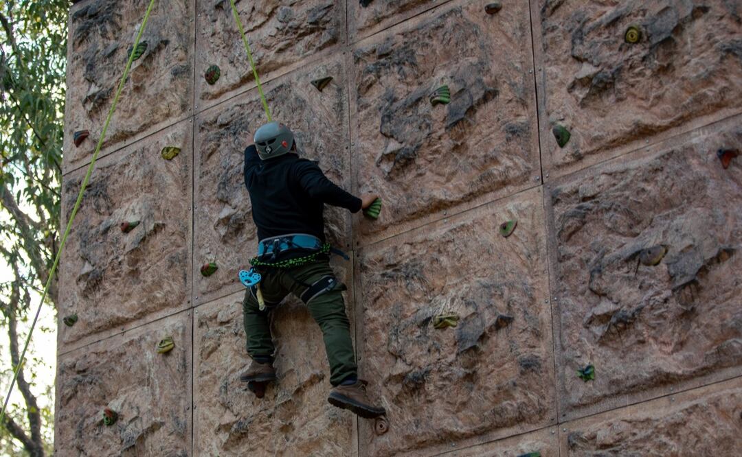 Se realizarán trabajos de poda y jardinería en más de 812 hectáreas, y se mejorarán 36 módulos de sanitarios | Foto: Gobierno del Estado