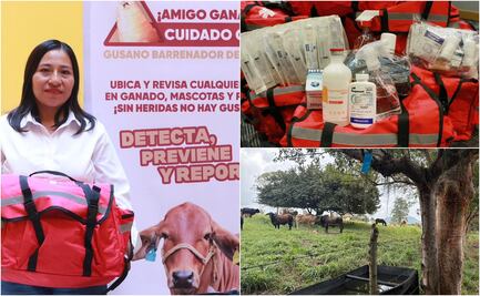 Puebla refuerza control sanitario contra gusano barrenador del ganado