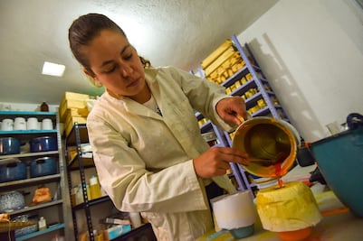 Mujeres, más confiables que los hombres al pagar créditos: CNBV