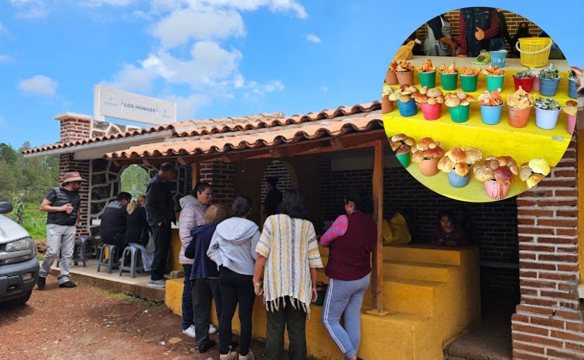 Hongosto: Esta es la caseta donde puedes comer una gran variedad de setas en Puebla