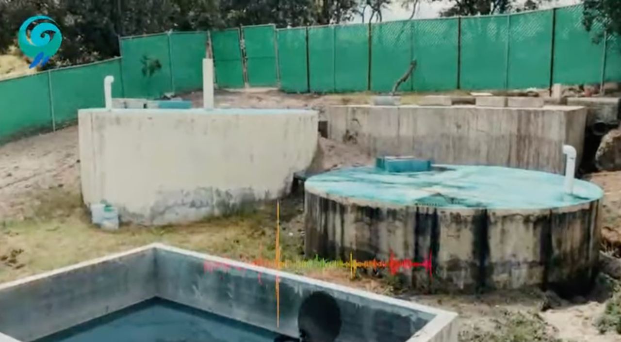 Denuncian ecocidio por fosa séptica en bosque de encino de Puebla