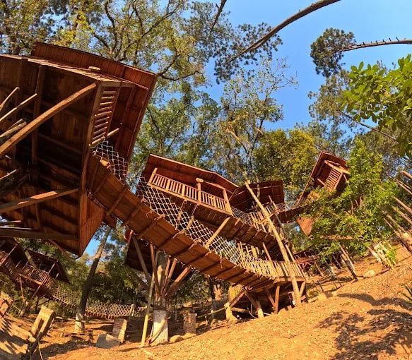 Kali-Tree Cabañas