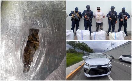 Mediante coordinación interinstitucional, fueron asegurados 65 kilogramos de marihuana