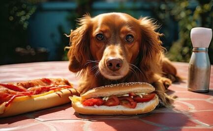 Descubre los 7 alimentos prohibidos porque son tóxicos en los perros