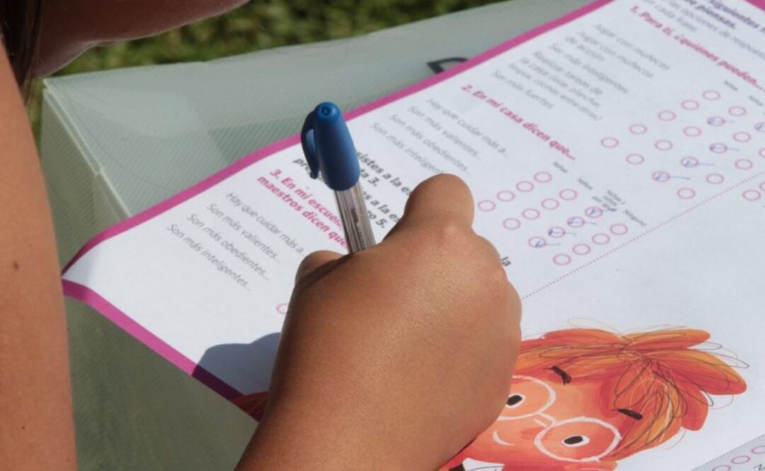 La Consulta Infantil y Juvenil se realizara todo el mes de noviembre | Foto: INE