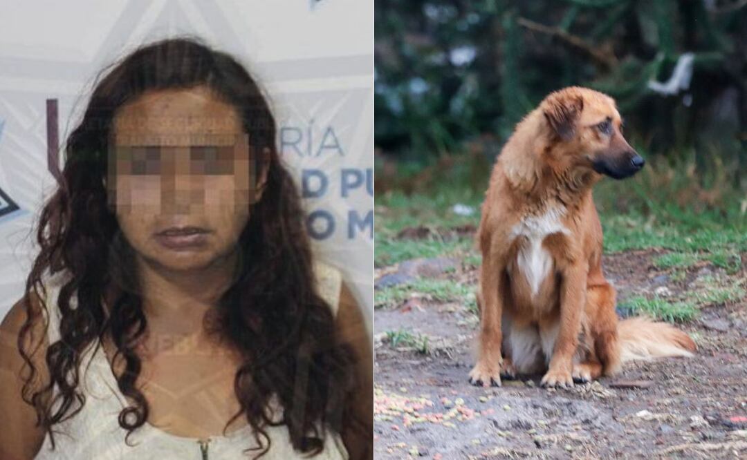 María Consuelo N. es conocida como la "come perros" | Foto Especial