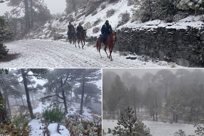 Hasta cuándo se podrá disfrutar la nieve en el Cofre de Perote