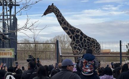Sergio Salomón asegura que no se hará un circo con Benito, se privilegiará su salud