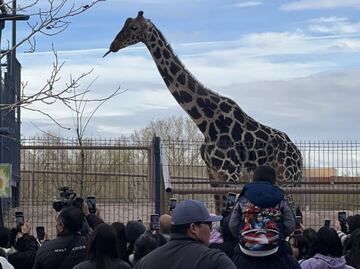 Sergio Salomón asegura que no se hará un circo con Benito, se privilegiará su salud