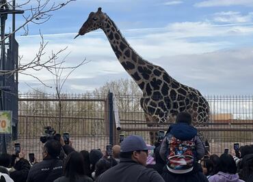Sergio Salomón asegura que no se hará un circo con Benito, se privilegiará su salud