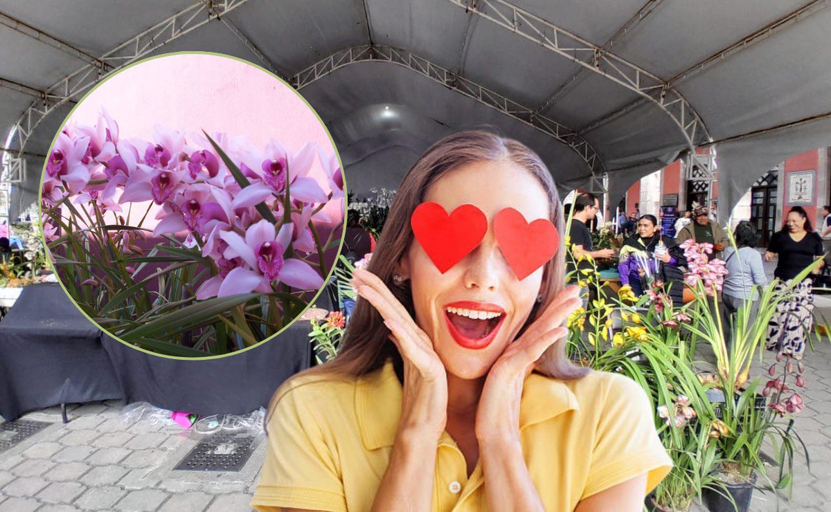 En este Pueblo Mágico de Puebla puedes conseguir las orquídeas más bonitas