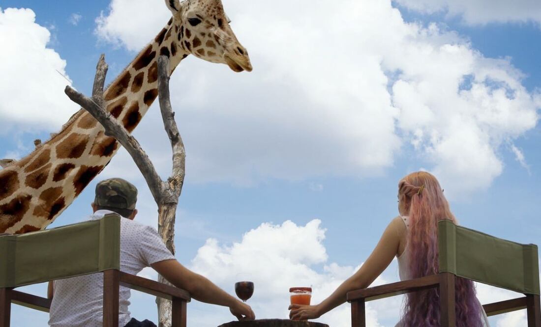 La experiencia “Wild Drinks” de Africam Safari es ideal para ti si amas convivir con la naturaleza | Foto: Africam Safari
