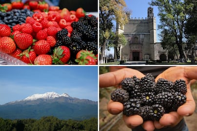 Este Pueblo Mágico de Puebla es reconocido a nivel mundial por sus berries