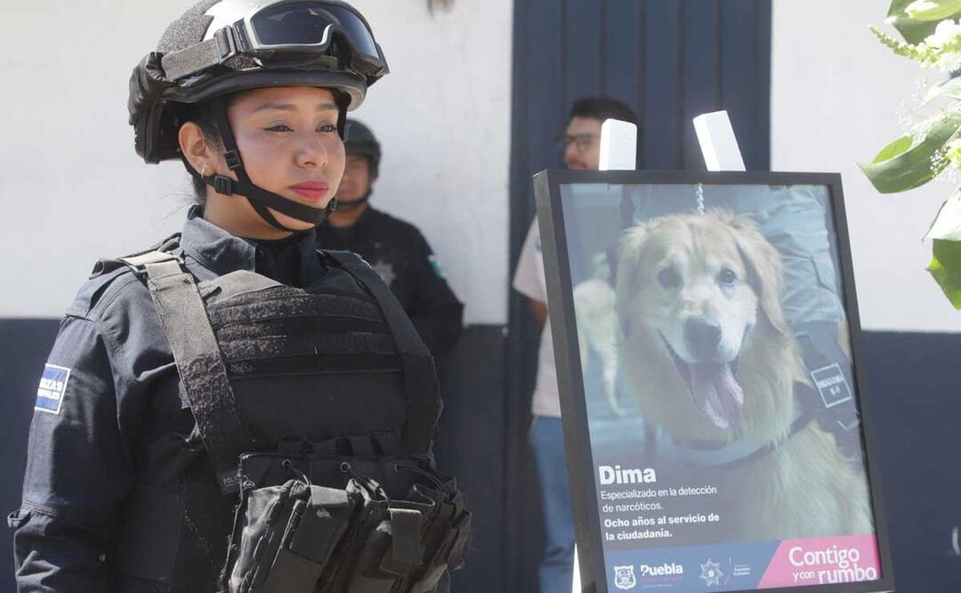 En la Secretaría de Seguridad Ciudadana de Puebla rindieron un homenaje póstumo a Dima, un perro policía | foto: Agencia Es Imagen para El Universal Puebla