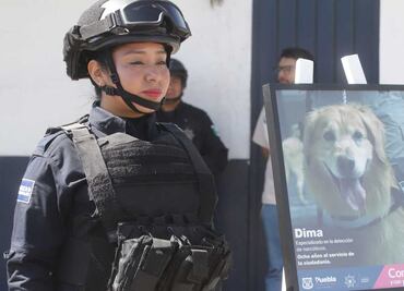 Rinden homenaje a Dima, perro policía que falleció por cáncer