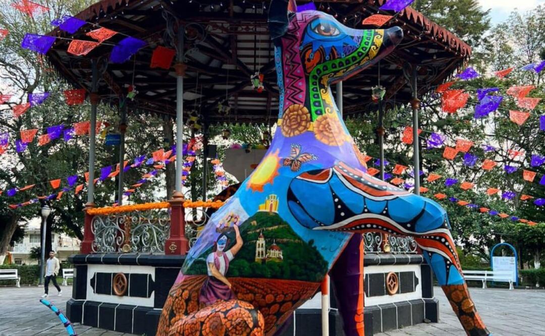 Las mascotas también son recordadas el Día de Muertos | Foto: Ayuntamiento de Atlixco