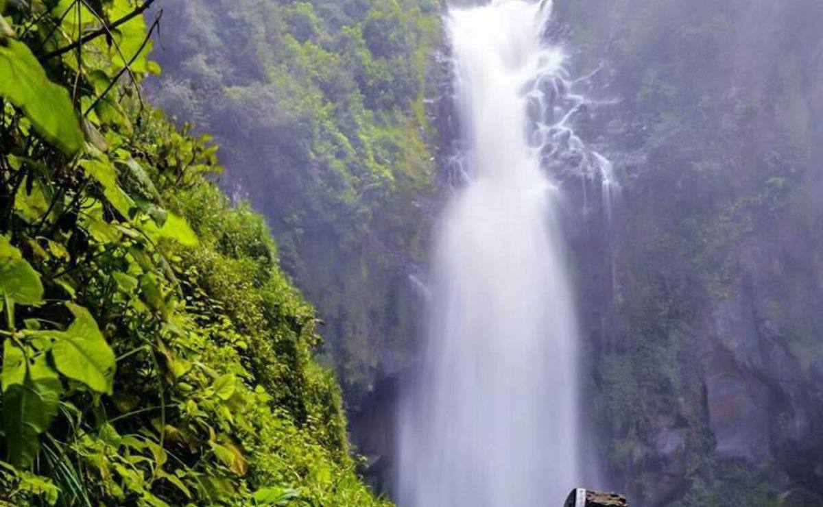 Cuatro cascadas cola de caballo que debes visitar en Puebla