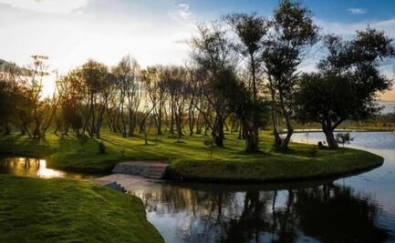 Parque El Ameyal de Cuautlancingo, un lugar gratis para olvidarte del estrés