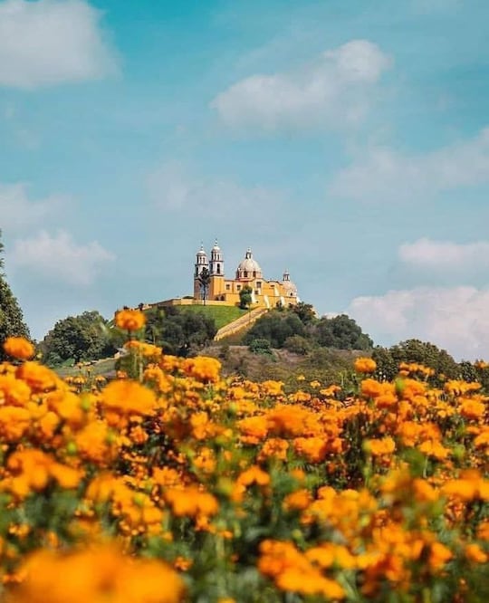 En Cholula tendrás esta vista espectacular desde los campos de cempasúchil | Instagram tours_inefables