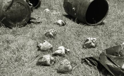 Choca tráiler que transportaba cuatro toneladas de perros y gatos muertos en Tamaulipas