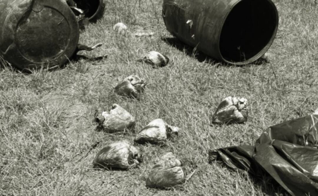 Vuelca tráiler que transportaba cuatro toneladas de perros y gatos muertos en Tamaulipas. Foto: Cortesía Hoy Tamaulipas