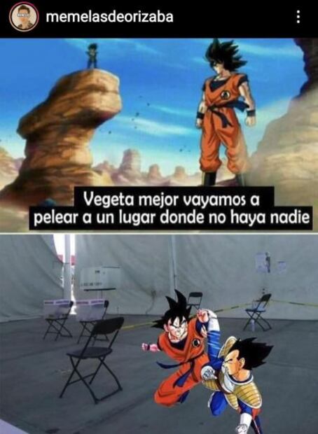 Los mejores memes de la Consulta Popular