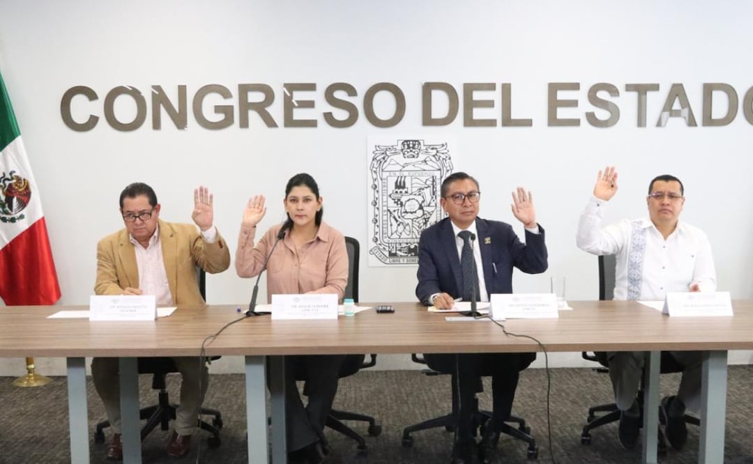 Comisión del Congreso aprueba reforma para transferir semanas de licencia de maternidad en caso de parto anticipado | Foto: Congreso de Puebla.