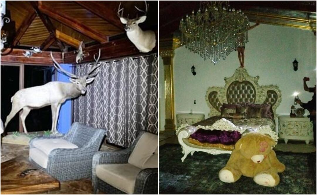 Fueron siete cateos en inmuebles presuntamente relacionados con uso de recursos de procedencia ilícita y otras actividades delictivas. Foto: Especial