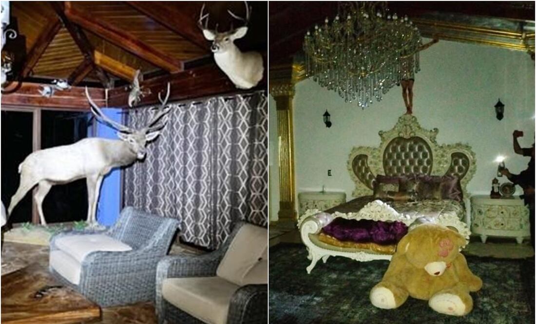 Fueron siete cateos en inmuebles presuntamente relacionados con uso de recursos de procedencia ilícita y otras actividades delictivas. Foto: Especial