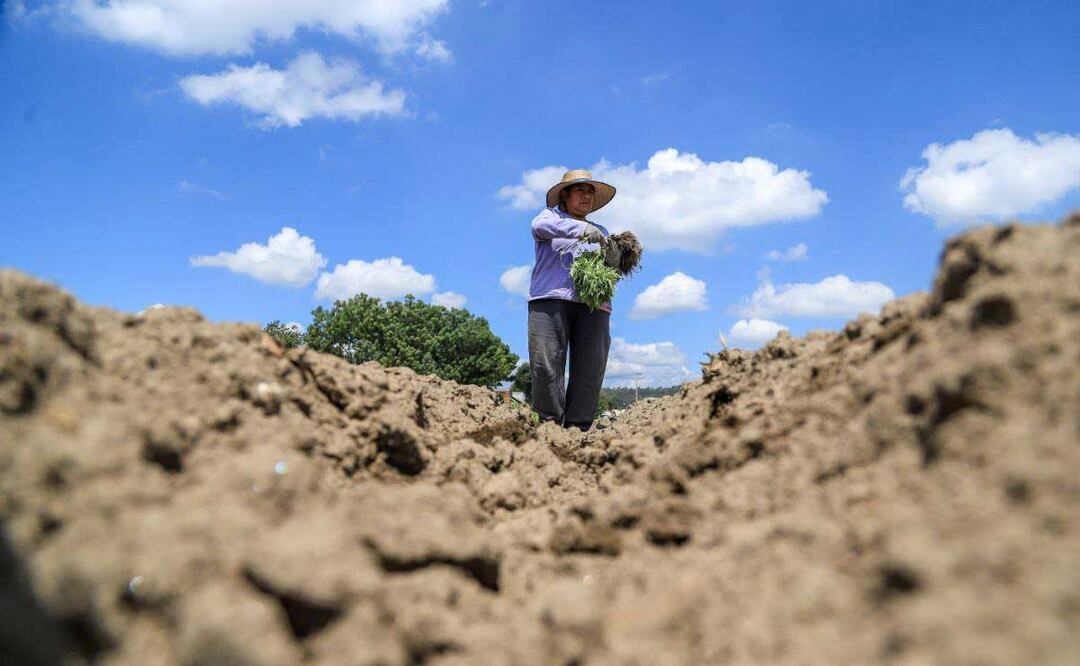 Los agricultores son los más afectados por la sequía en Puebla | foto: AGENCIA ES IMAGEN PARA EL UNIVERSAL PUEBLA