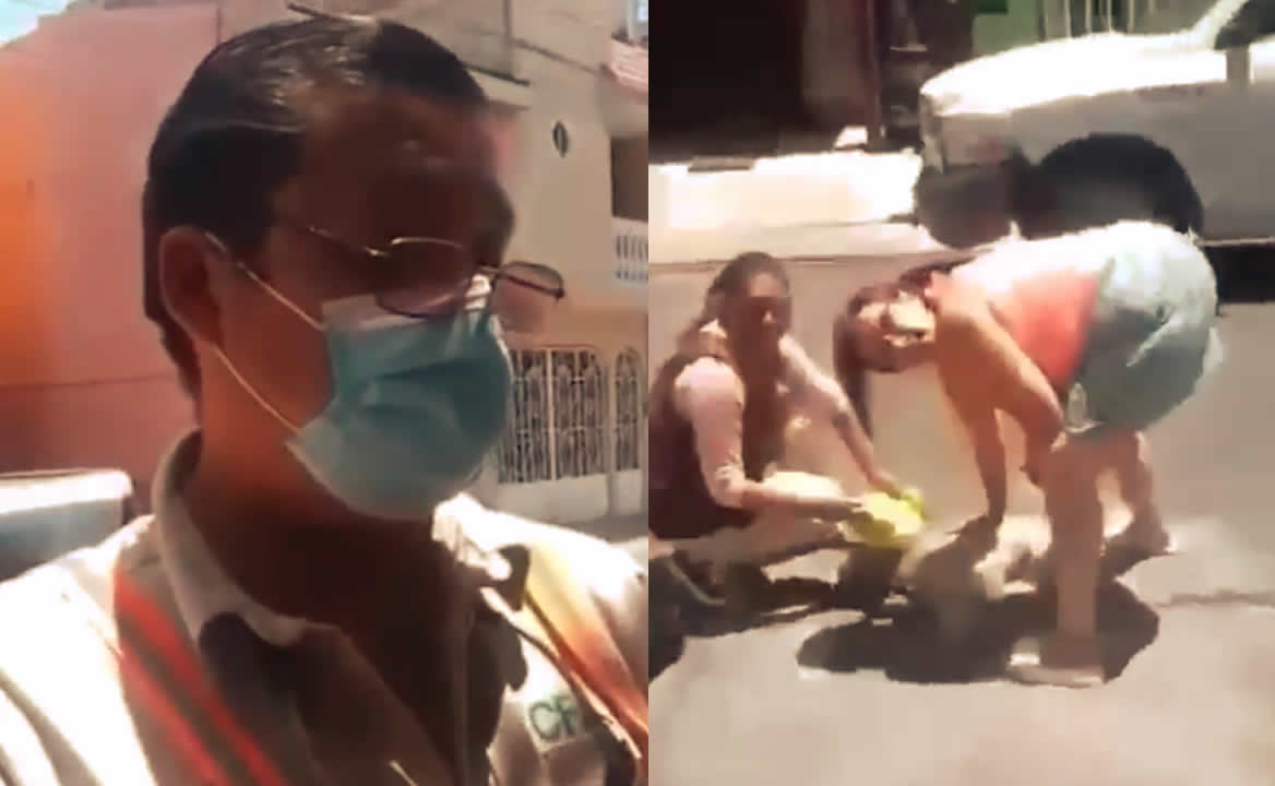 Trabajador de CFE mata con un desarmador a perrita schnauzer por morderle el pantalón