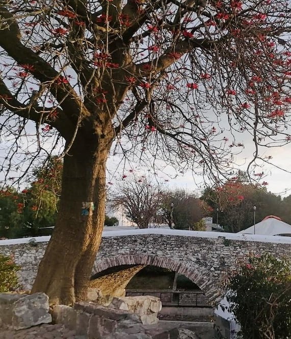 El puente de Ovando guarda una triste y trágica historia | Instagram rvazquezosorio