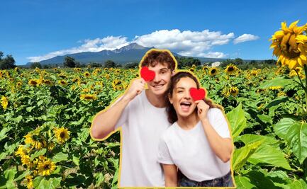 Santuario de girasoles, el lugar más instagrameable muy cerca de Puebla y CDMX
