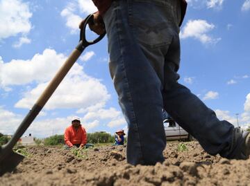Once municipios poblanos padecen sequía extrema
