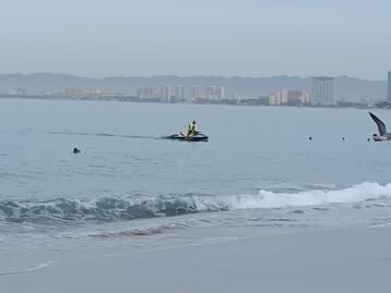 Buscan a poblano que desapareció en playas de Puerto Vallarta