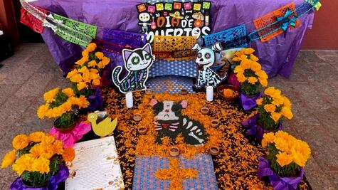 ¿Qué poner en un altar de muertos para mascotas?