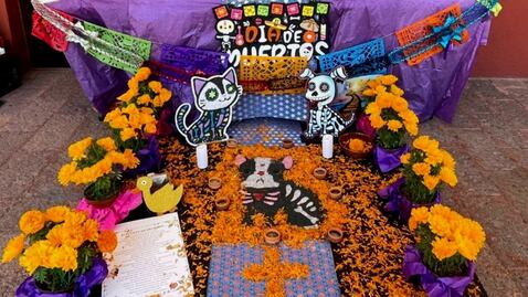 ¿Qué poner en un altar de muertos para mascotas?