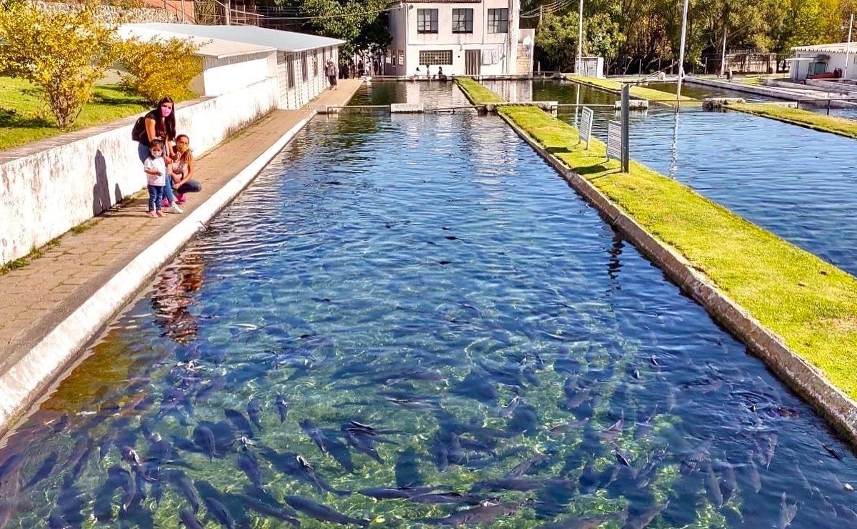 Foto: Twitter @Xouilin