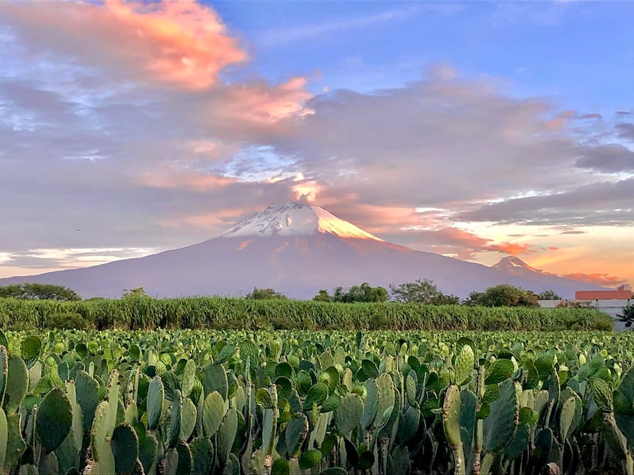 Éste es uno de los paisajes que podrás admirar si visitas la ex hacienda San Juan Bautista | Facebook Ayuntamiento de Huaquechula