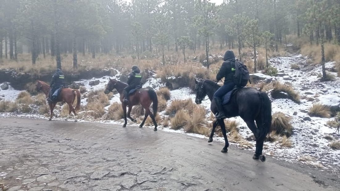 Foto: Facebook Noticias de Perote y la Región