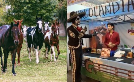 Cuacolandia en Feria de Puebla: Conoce el santuario de Elena Larrea