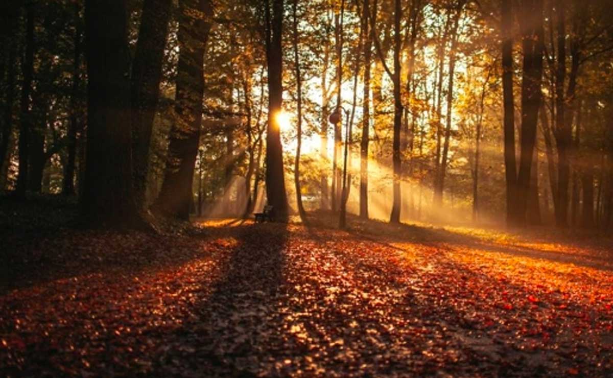 El otoño ya está aquí, la estación más bonita del año