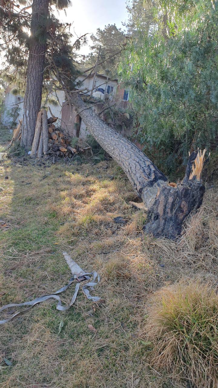 Este 3 de febrero se reportaron fuertes rachas de viento en Puebla | Foto: Especial