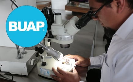 Descubre de qué tratan las 6 nuevas carreras aprobadas en la BUAP