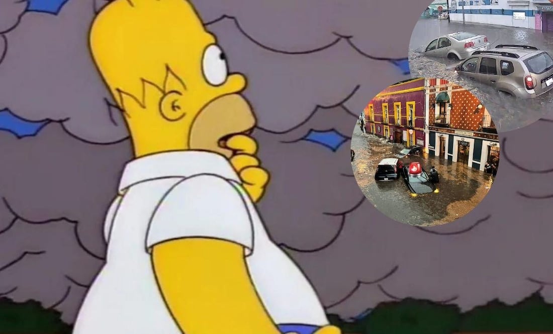 Después de las inundaciones vienen los memes, aquí los mejores | Foto: Canvas / Redes sociales