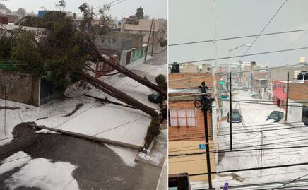 VIDEO Intensa granizada sorprende en Puebla, derriba árboles e inunda calles